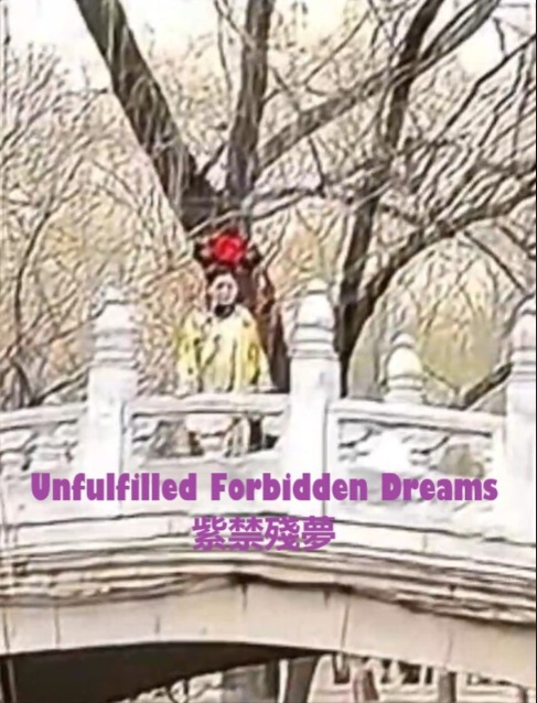 Unfulfilled Forbidden Dreams