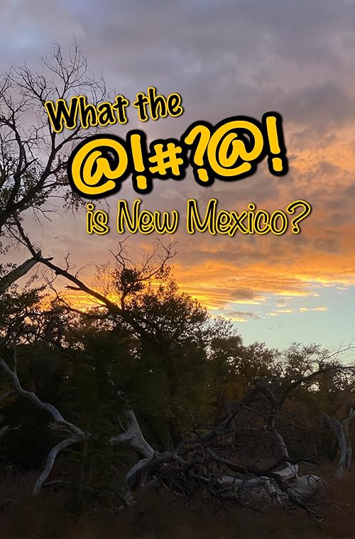 What the @!#?@! is New Mexico?