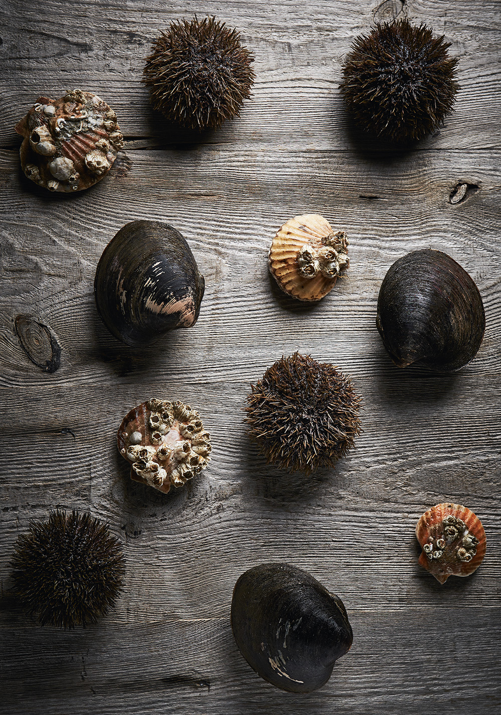 Nordic by Nature - Michelin Stars