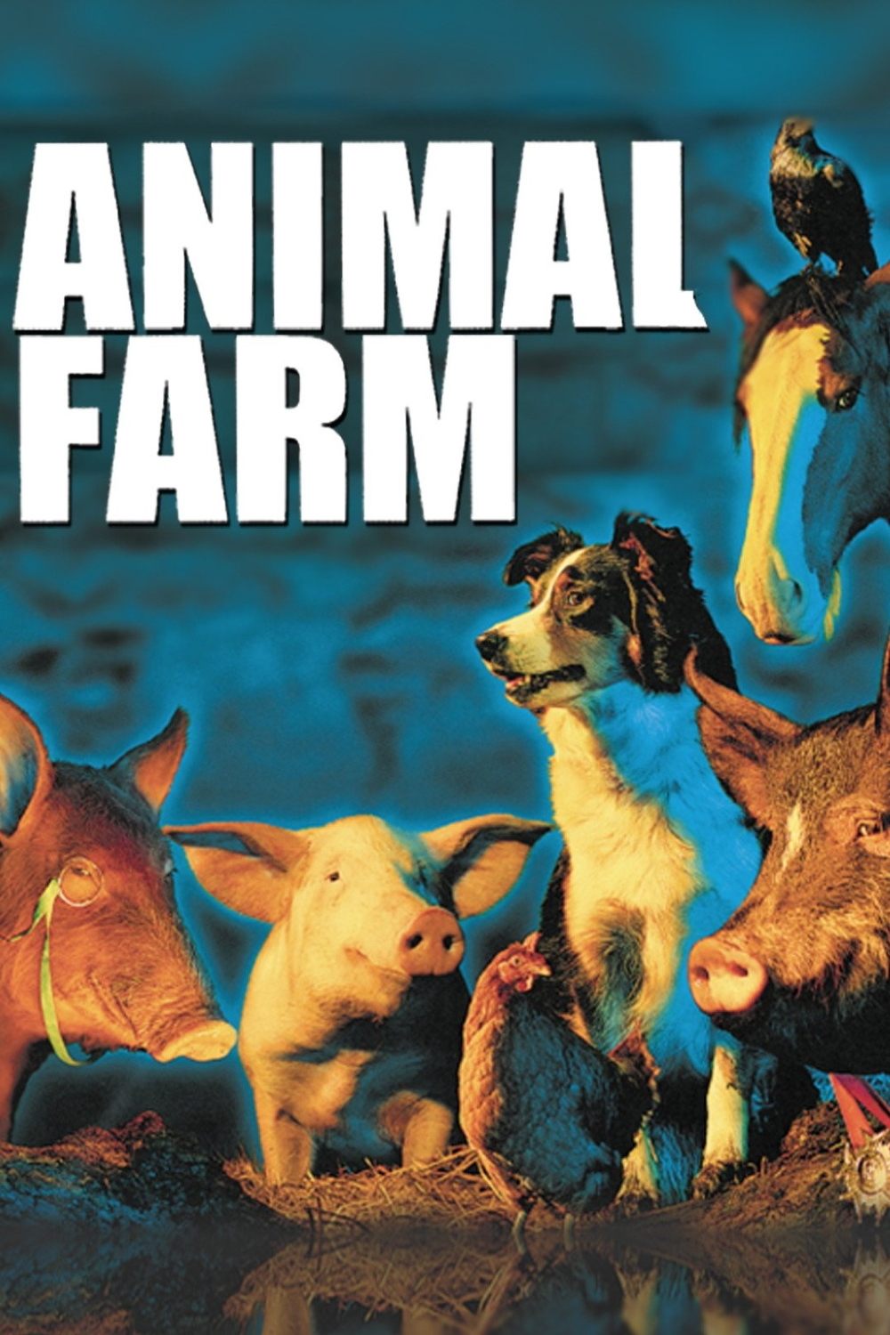 Farm der Tiere