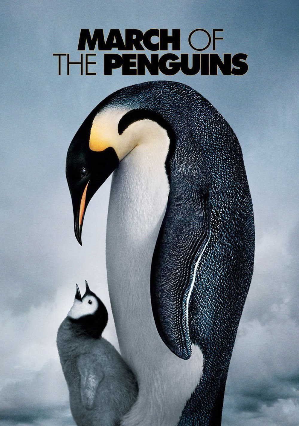 Die Reise der Pinguine