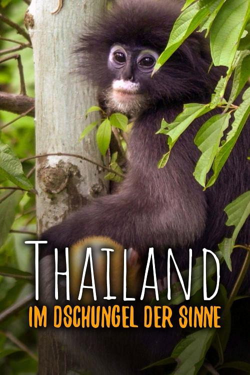 Thailand, im Dschungel der Sinne