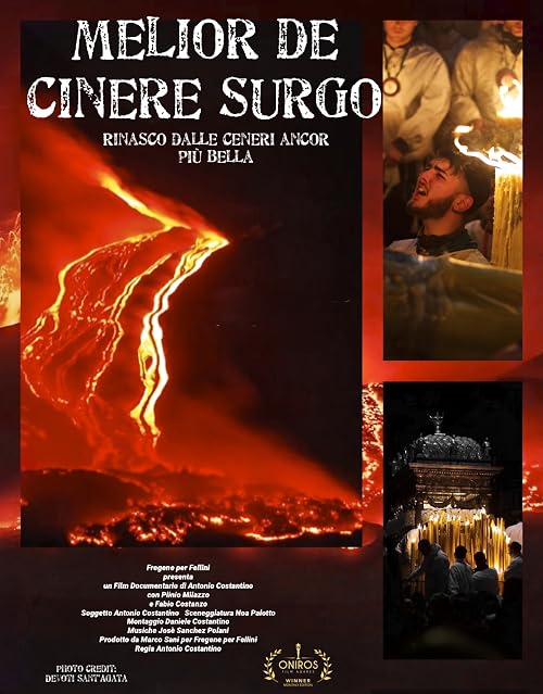 Melior de Cinere Surgo (Rinasco dalle ceneri ancor più bella)