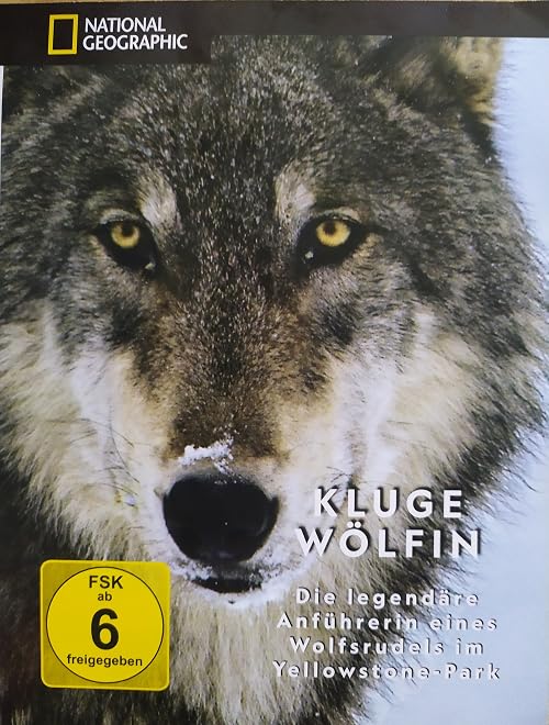 Wilder Yellowstone: Alphaweibchen