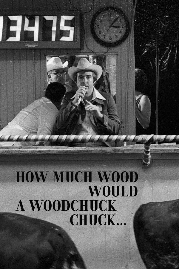 How much Wood would a Woodchuck chuck... - Beobachtungen zu einer neuen Sprache