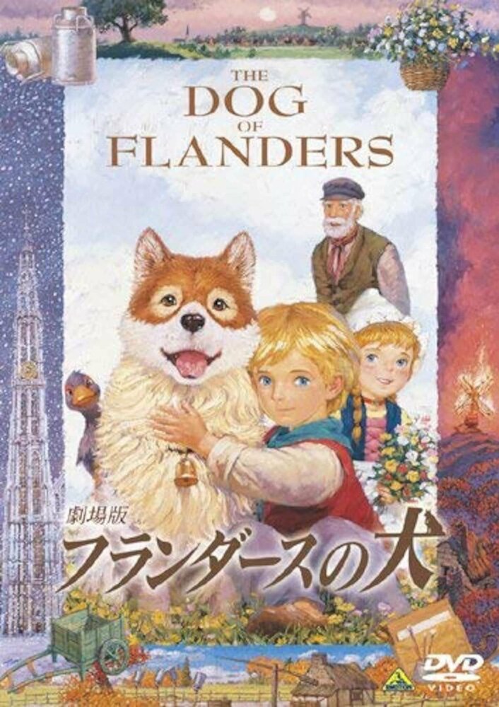Niklaas, der Junge aus Flandern