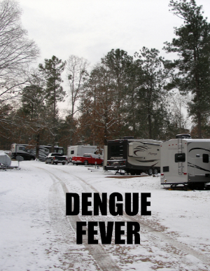 Dengue Fever