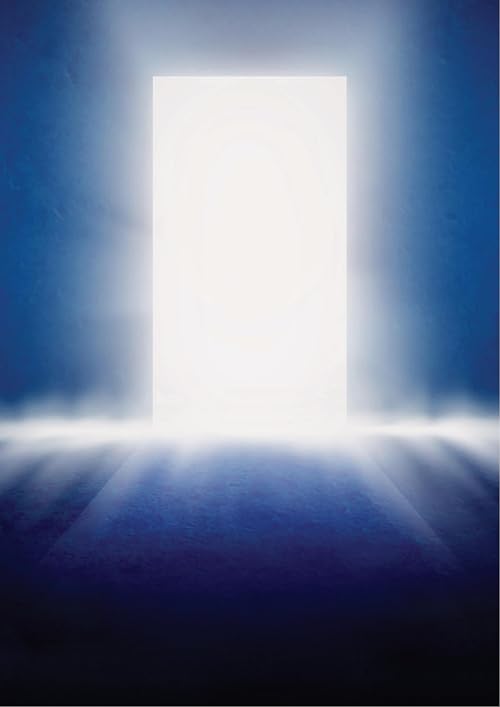 The Doors System