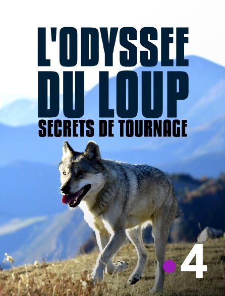 L'Odyssée du Loup: Secrets de tournage