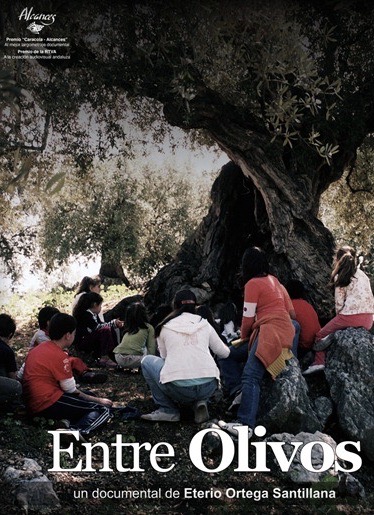 Entre Olivos