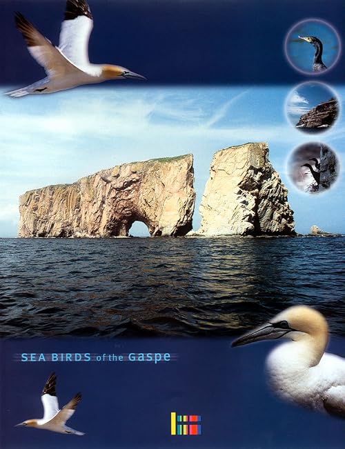 Sea Birds of the Gaspé