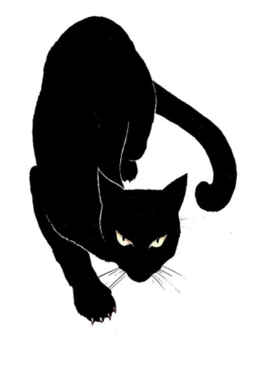 Чёрный кот