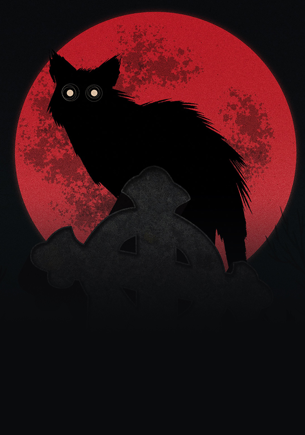 Gatto nero
