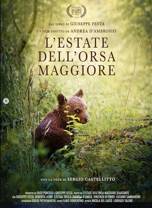 L'estate dell'orsa maggiore