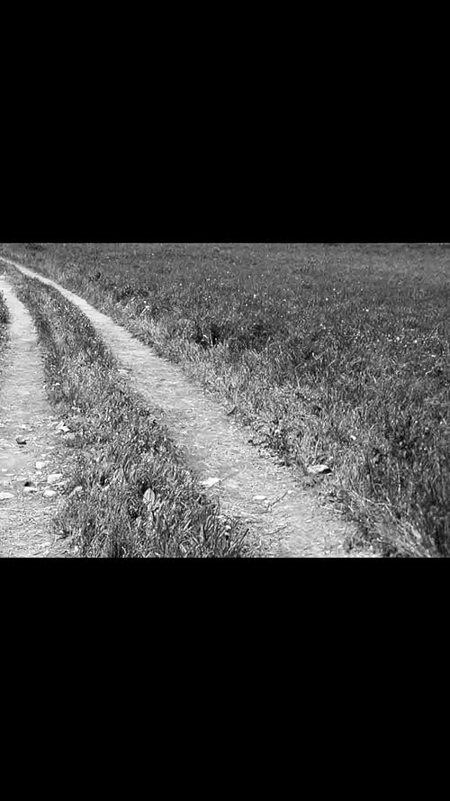 Cold Hand Lane