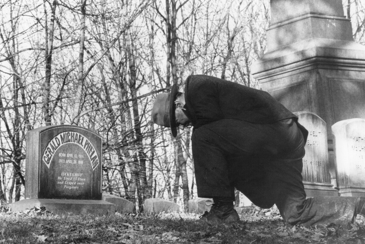 Чертополох — кадр 4
