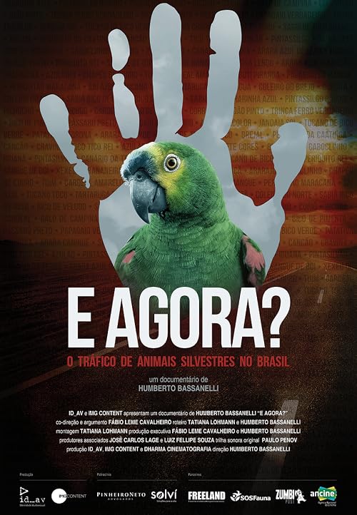 E Agora? O Tráfico de Animais Silvestres no Brasil