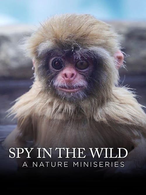 Spy in the Wild: A Nature Miniseries