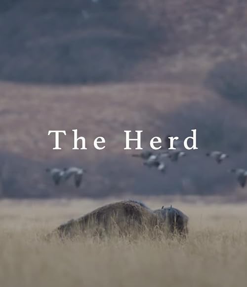 The Herd