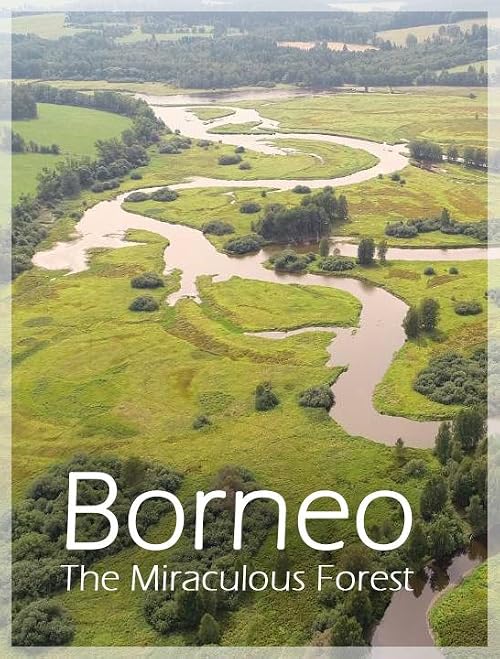 Borneo - The Miraculous Forest