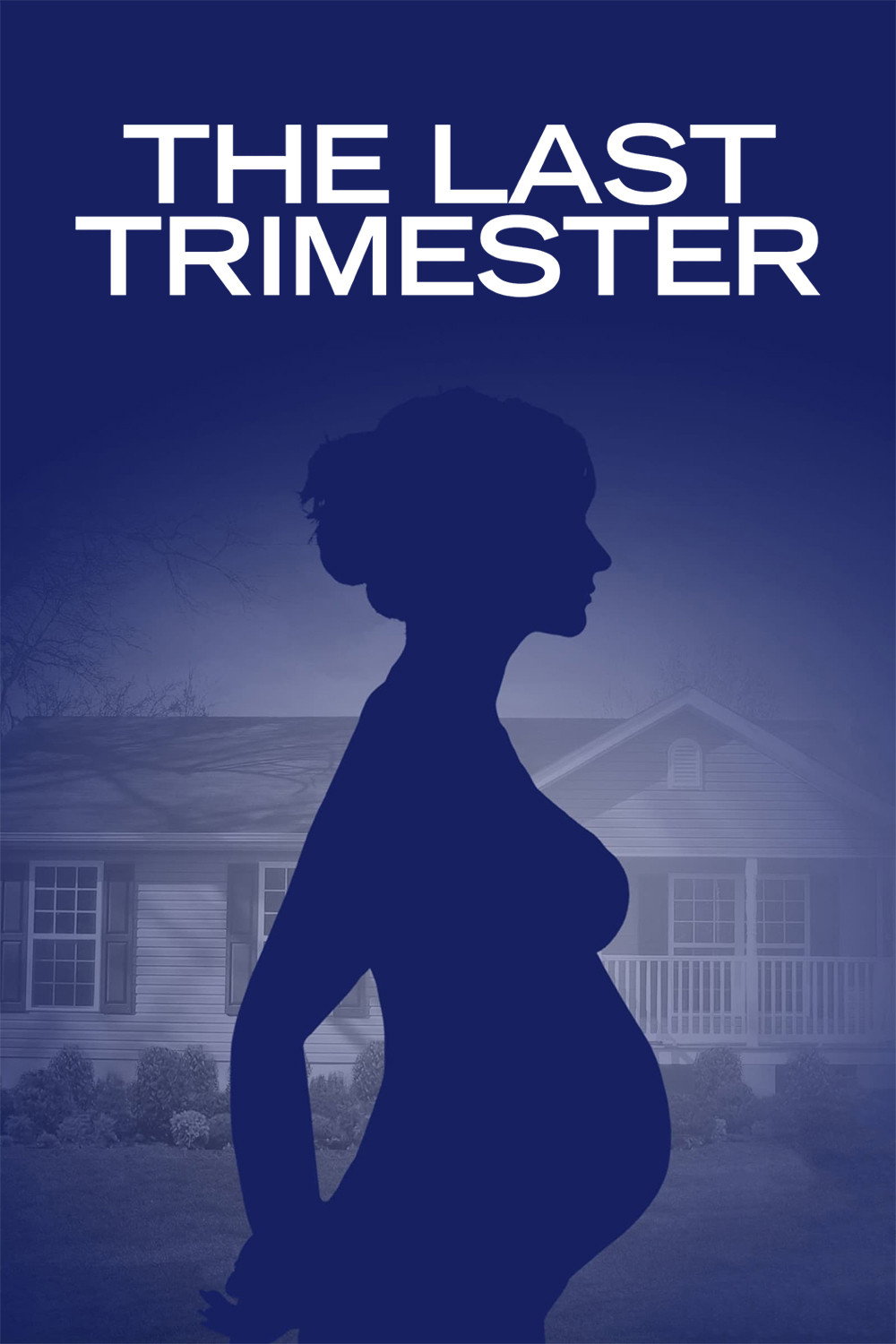 The Last Trimester