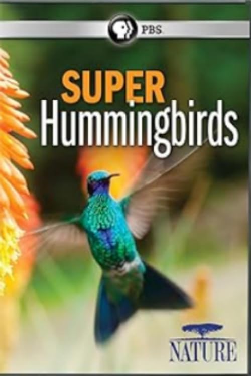 Super Hummingbirds