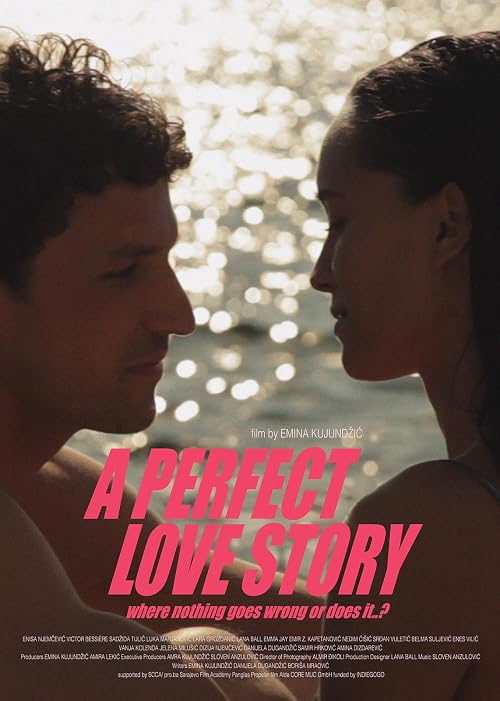 A Perfect Love Story Where Nothing Goes Wrong or Does It..?
