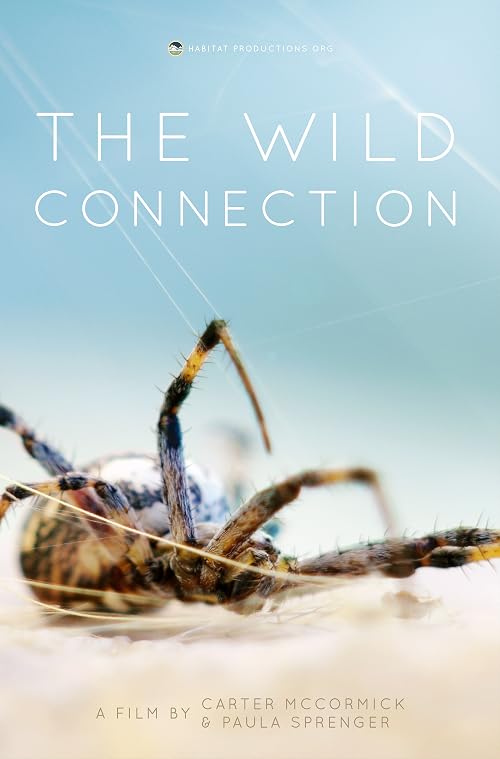 The Wild Connection