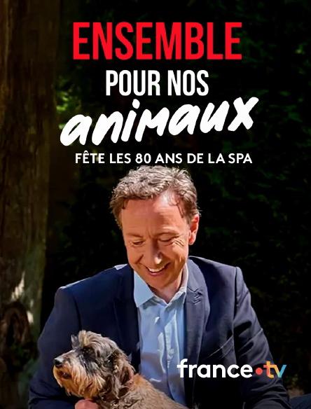 Ensemble pour nos animaux: fête les 180 ans de la SPA