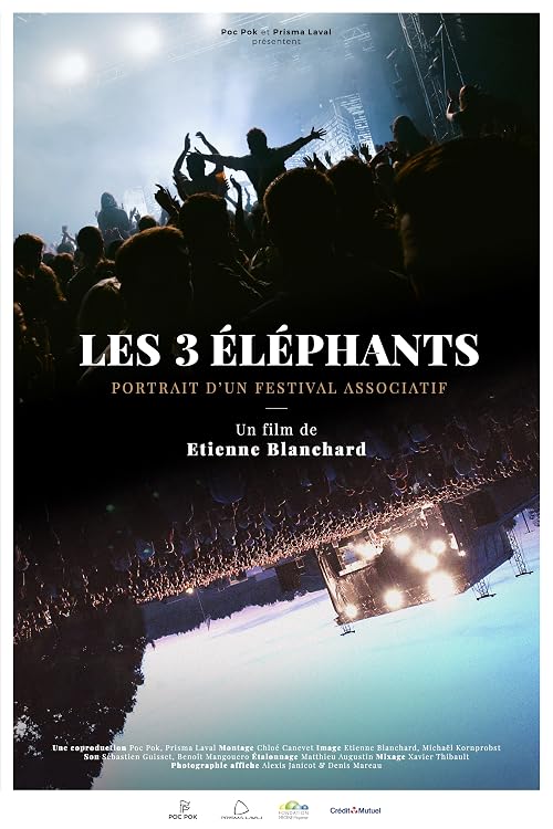 Les 3 éléphants, portrait d'un festival associatif