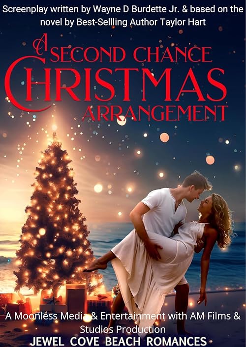 A Second Chance Christmas Arrangement