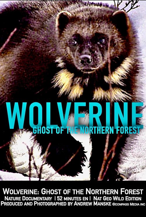 Wolverine: Ghost of the Northern Forest