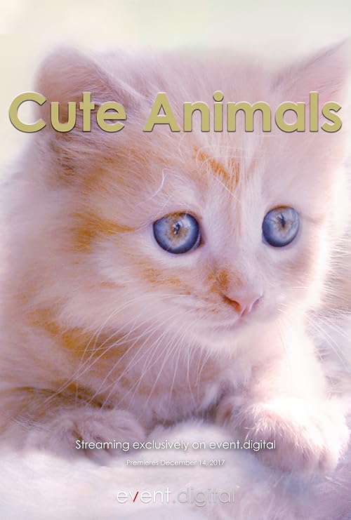 Cute Animals