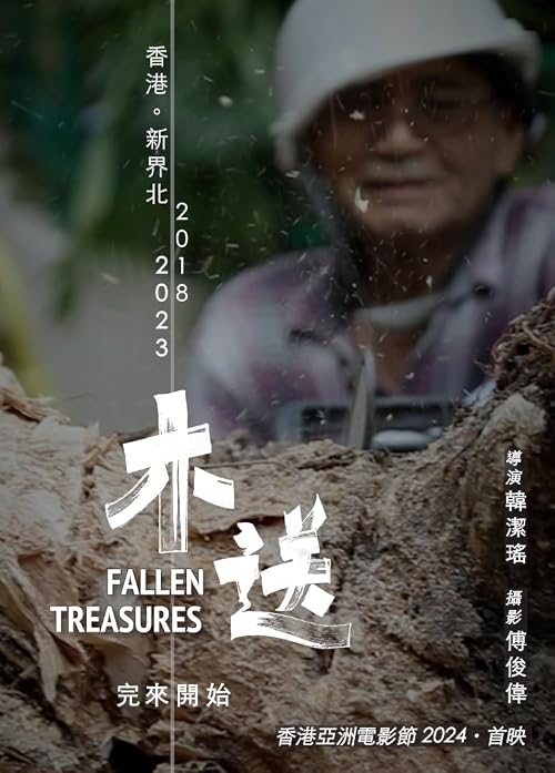 Fallen Treasures