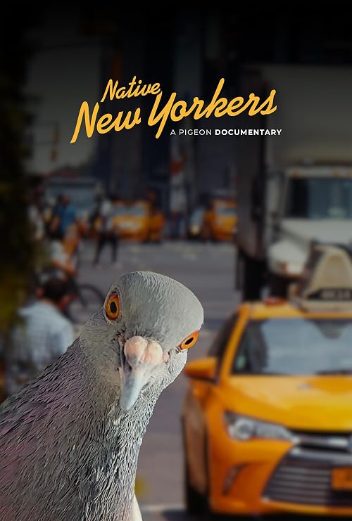 Native New Yorkers: A Pigeon Documentary