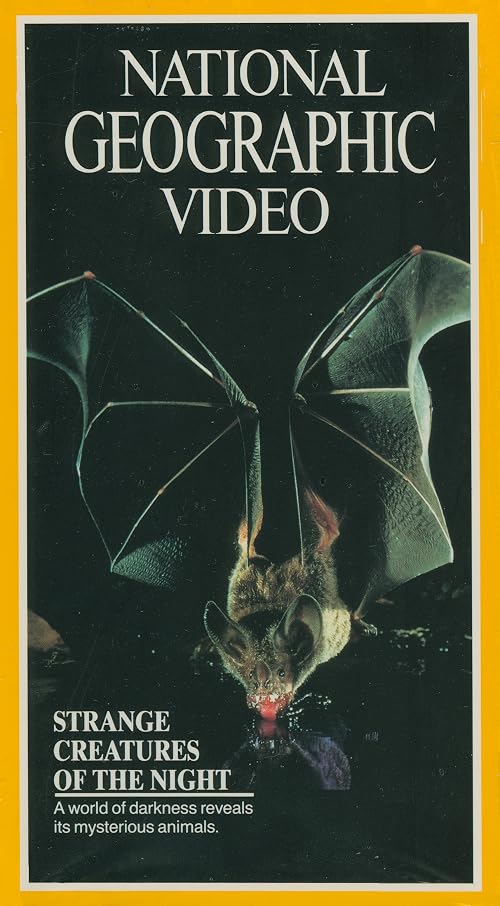 Strange Creatures of the Night