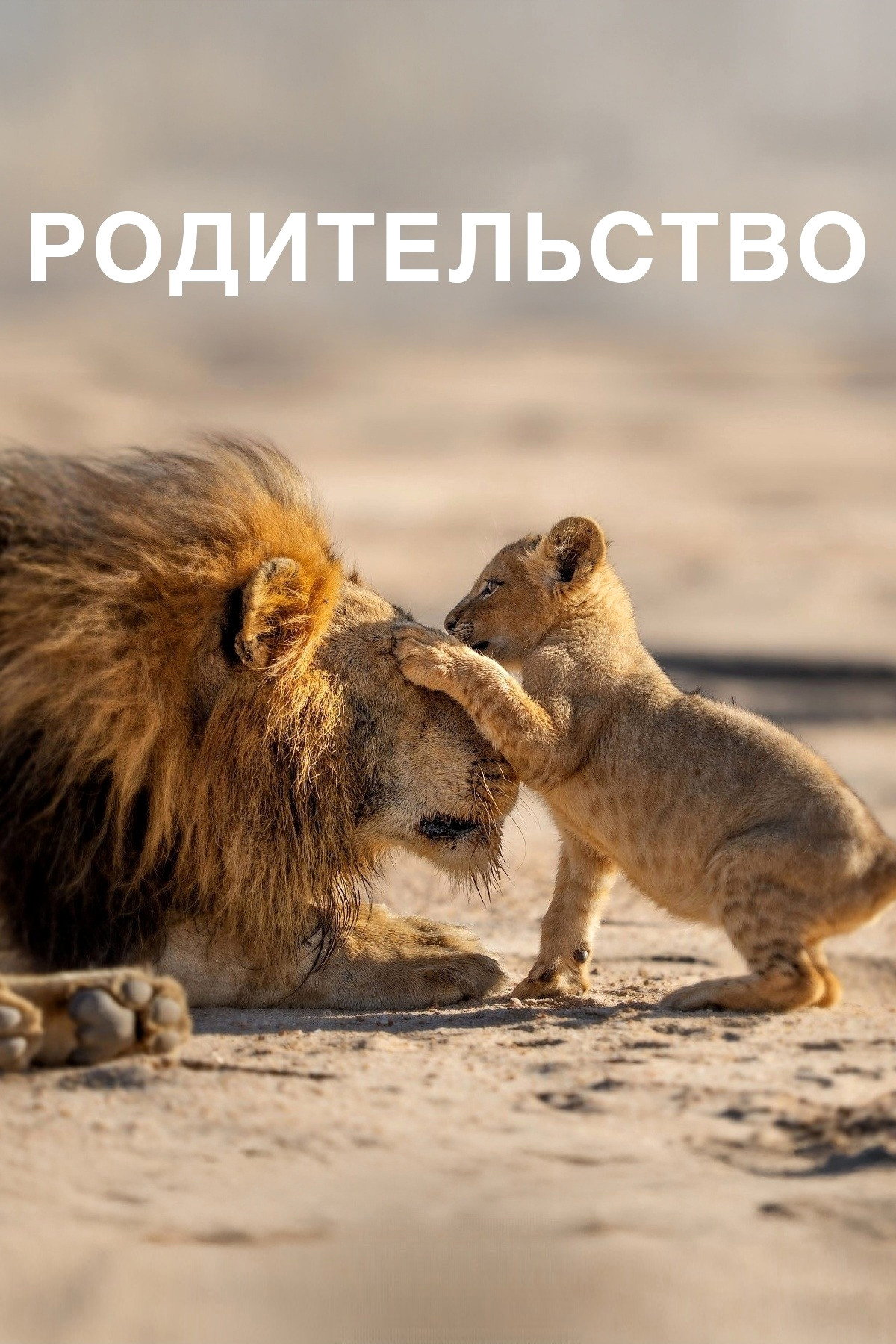 Родительство