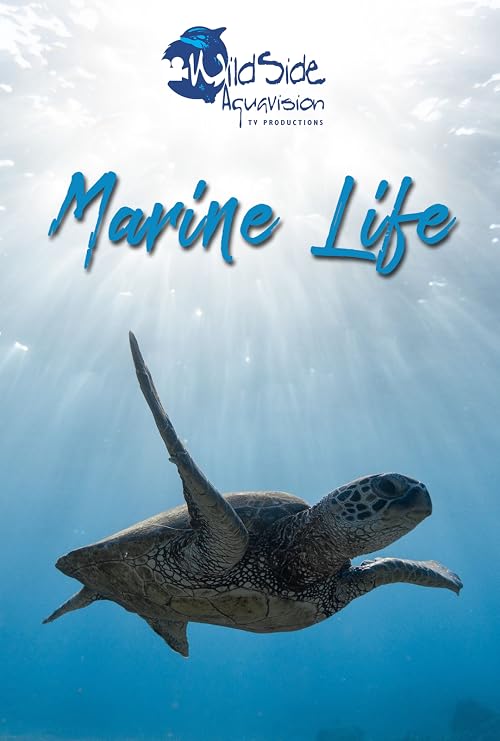 Common Marine Life