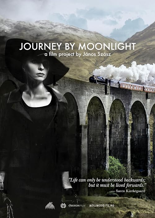 Journey by Moonlight