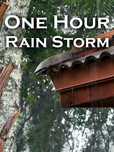 One Hour Rain Storm