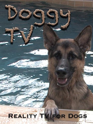 Doggy TV: Reality TV for Dogs