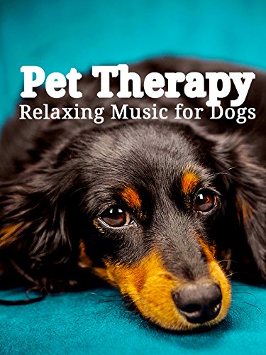 Pet Therapy: Relaxing Music for Dogs