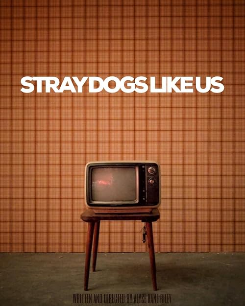 Stray Dogs Like Us