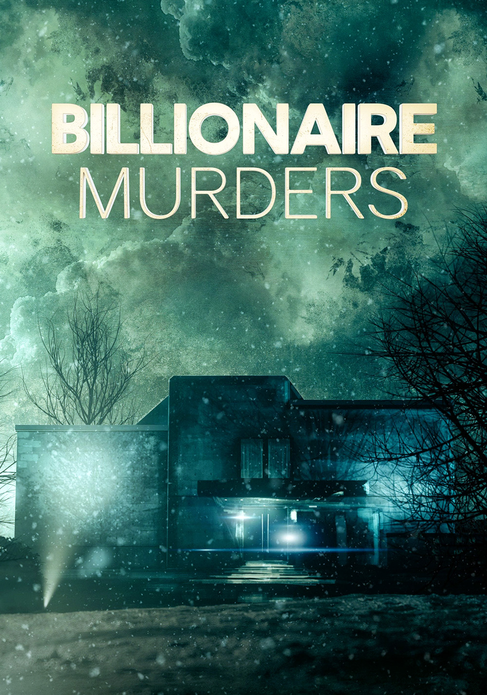 Billionaire Murders