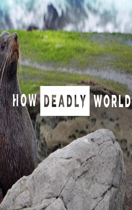 How Deadly: World