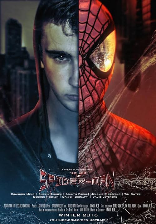 The Web of Spider-Man