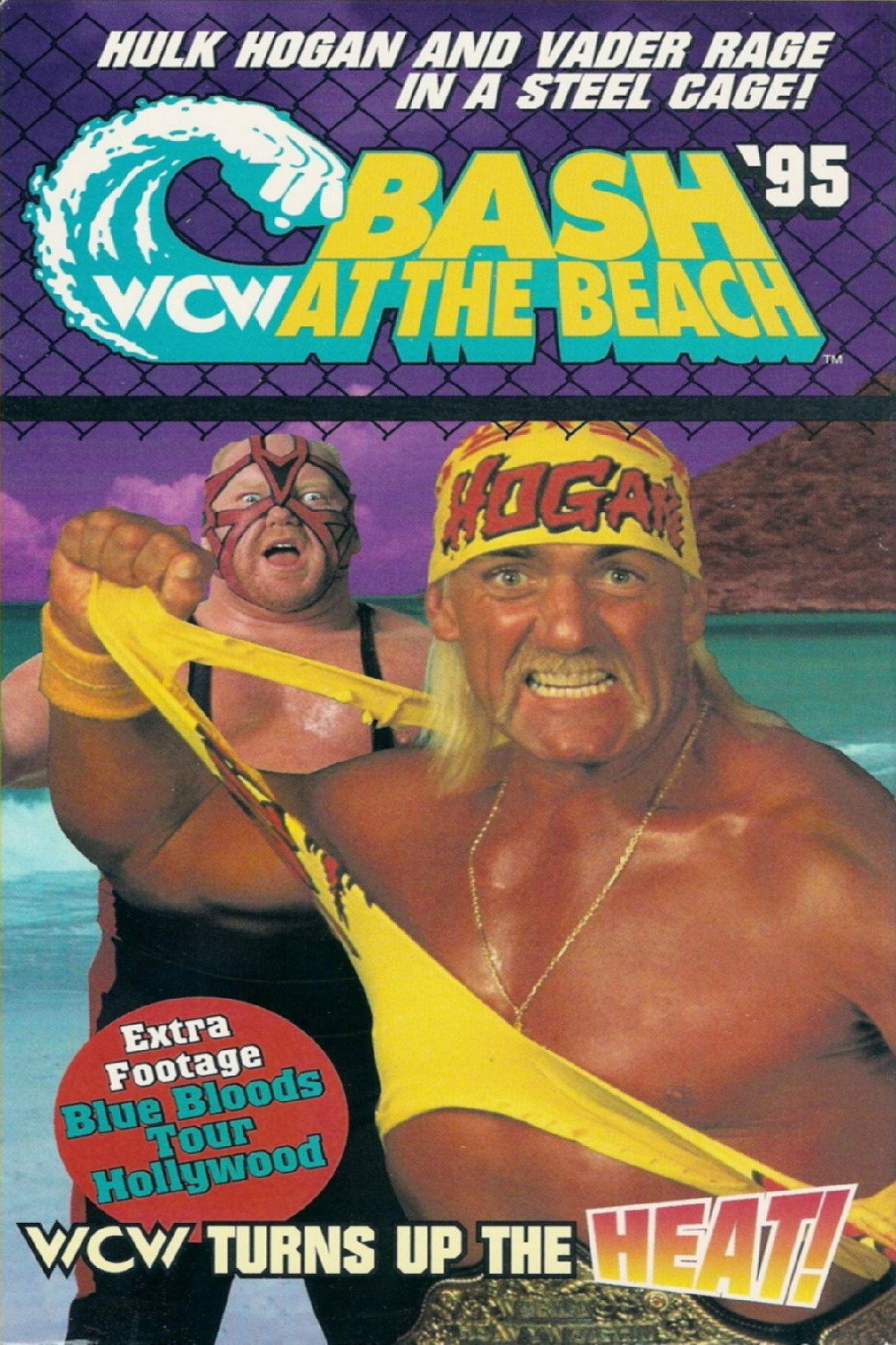 WCW Разборка на пляже