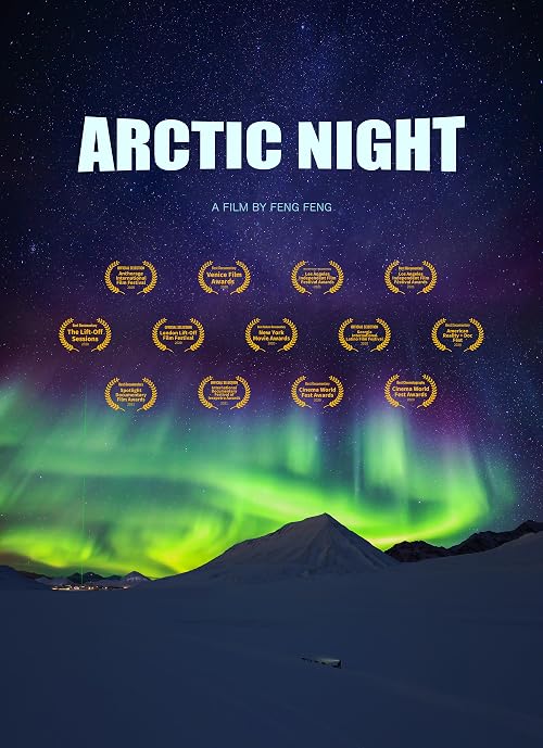 Arctic Night