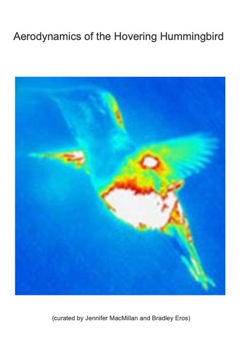 Aerodynamics of the Hovering Hummingbird: Science, Cinema, and Ways of Seeing