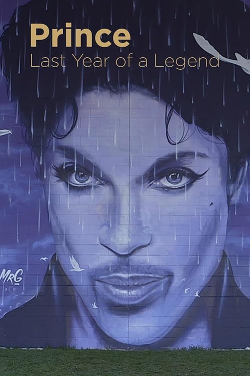 Prince: Last Year of a Legend